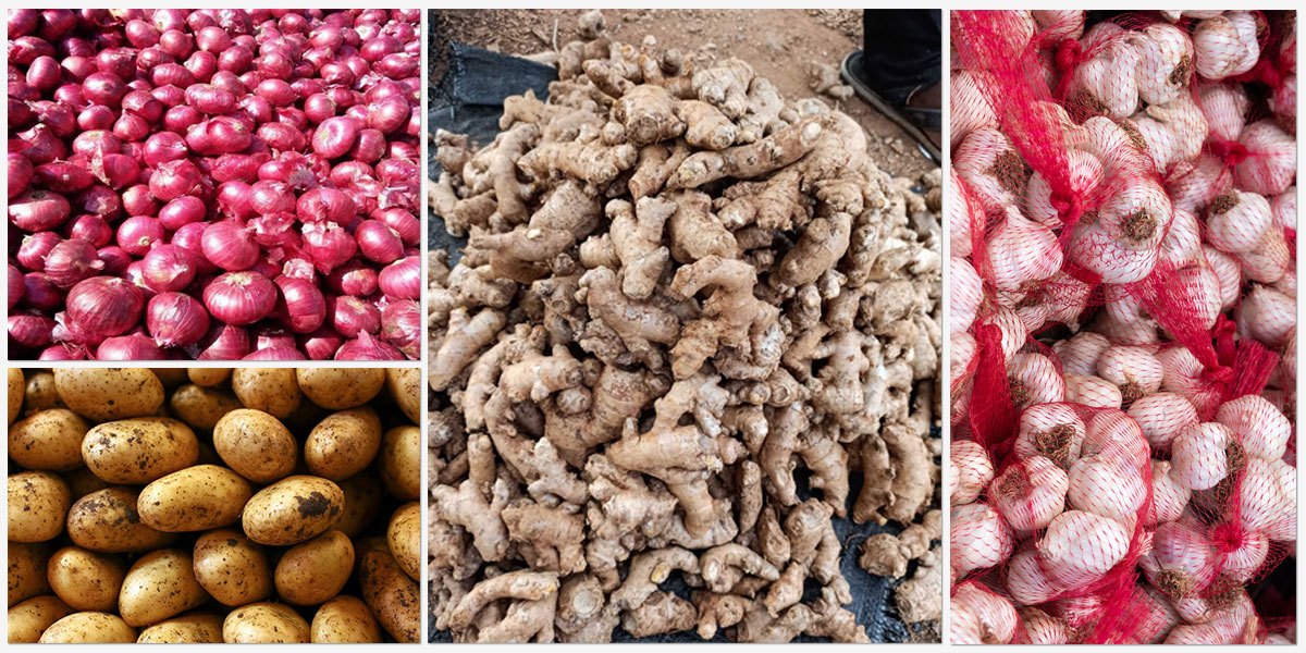 Vegetables Trading Vegetables Trading