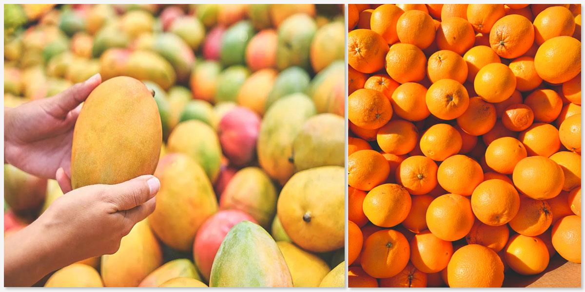 Fresh Fruits Trading Fresh Fruits Trading