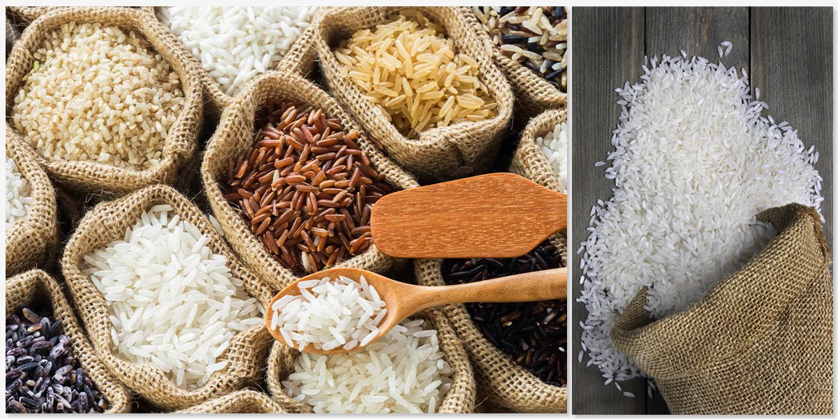 Rice Trading Rice Trading